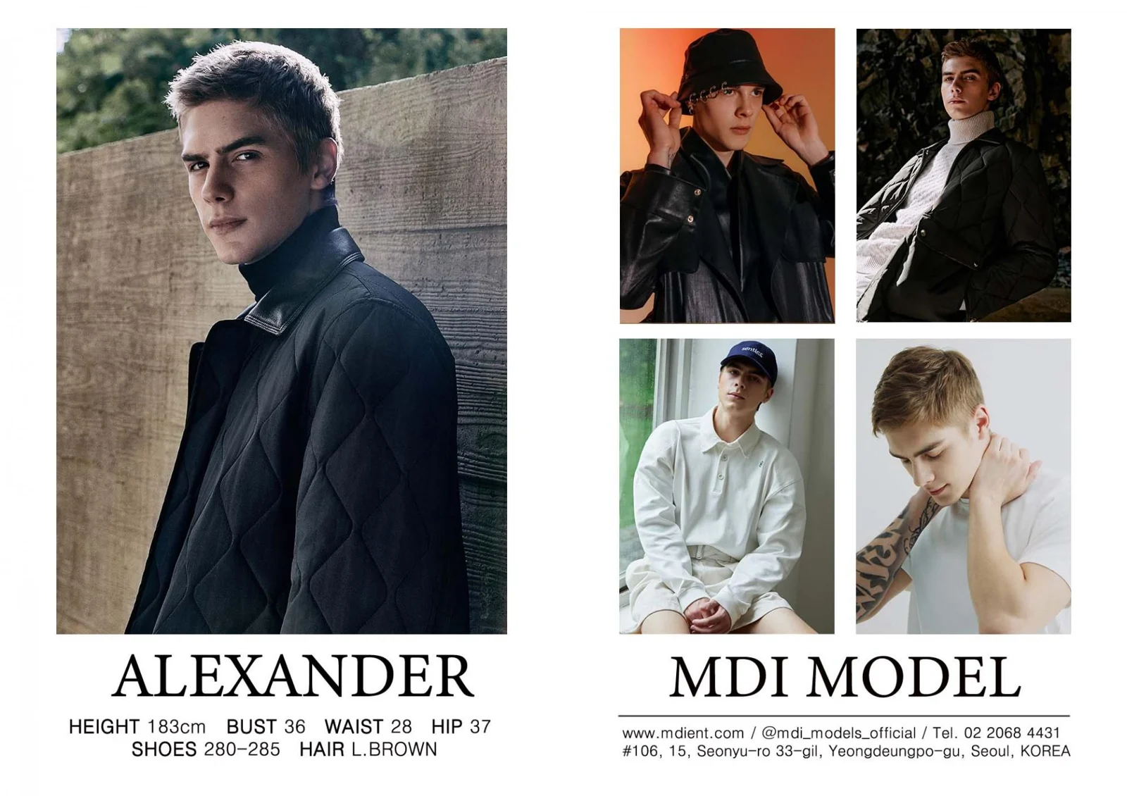 ALEXANDER