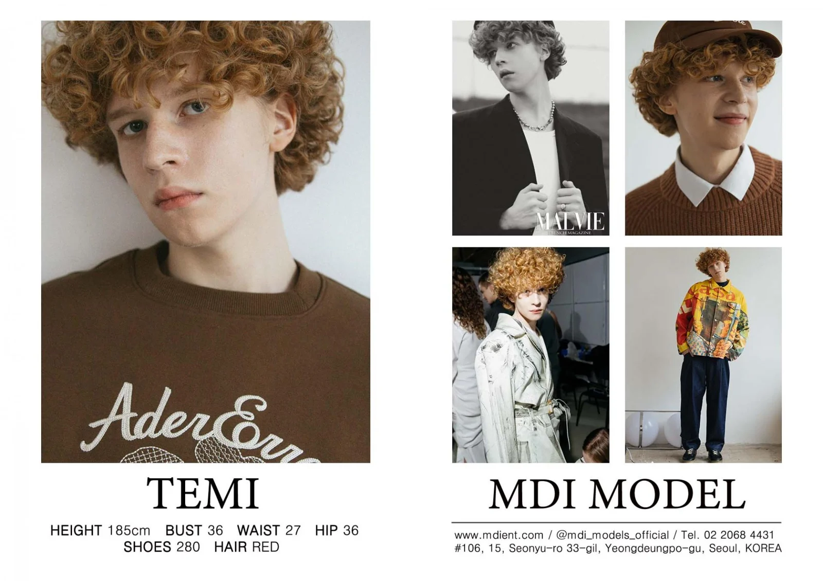 TEMI